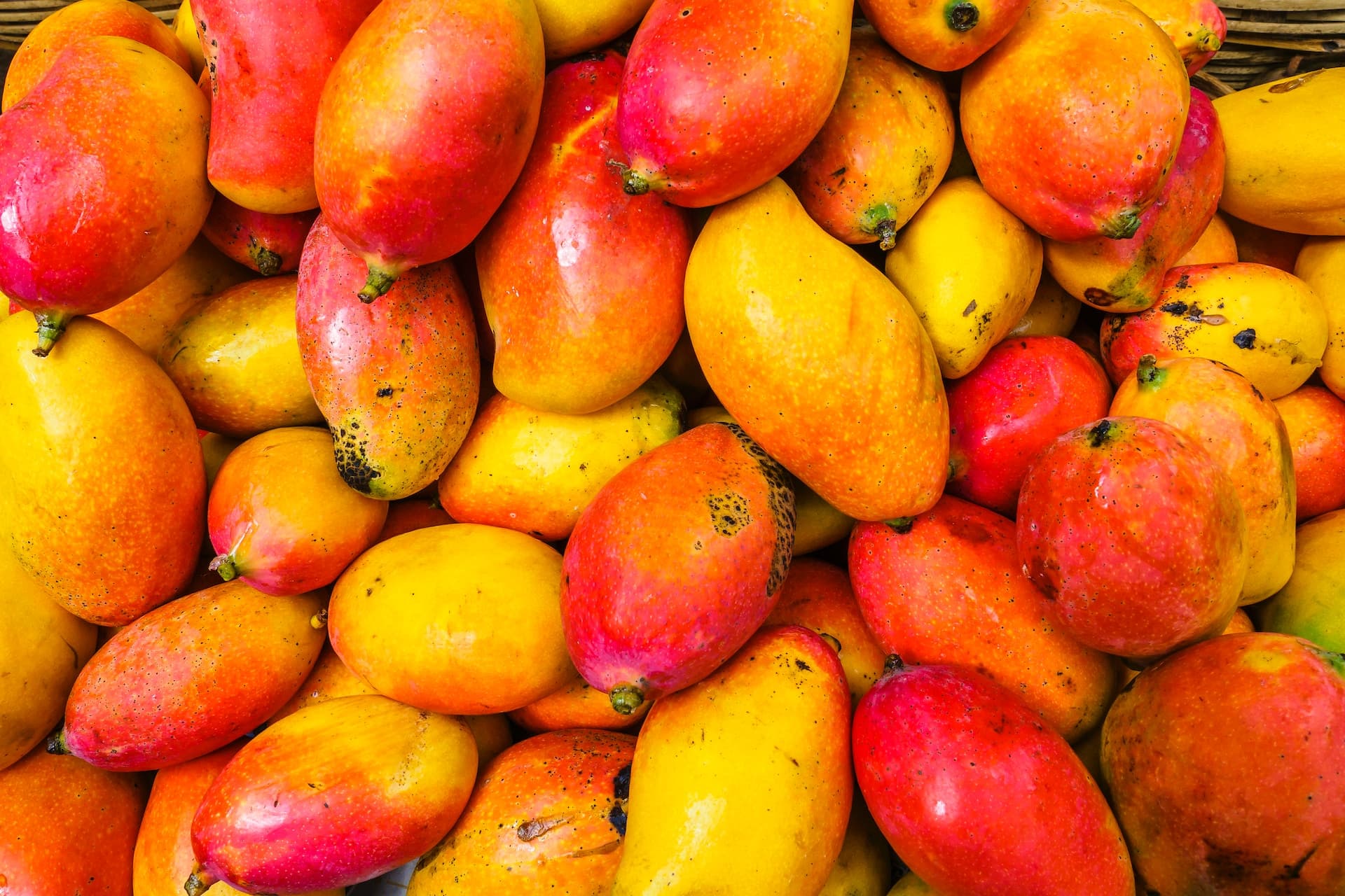Towards Sustainable Mangoes